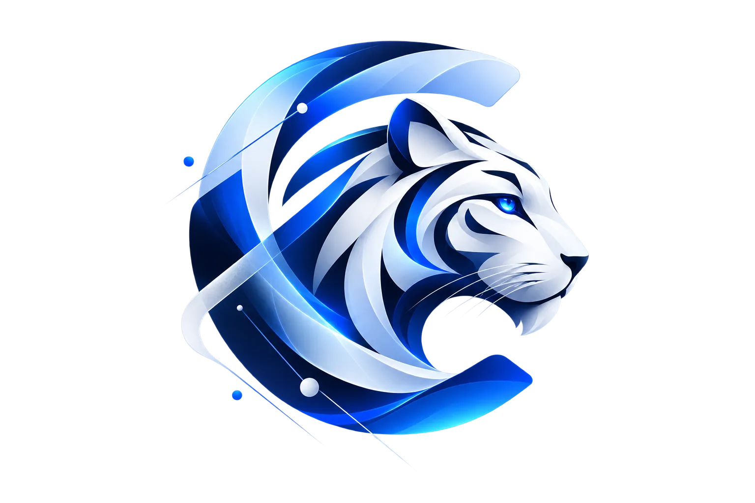 CodeTiger
